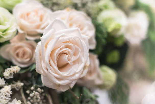 Hermosas rosas flor
 - Foto, Imagen