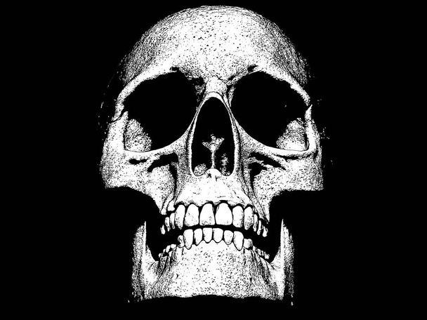 Skull illustration isolated  in background wallpaper - Photo, image