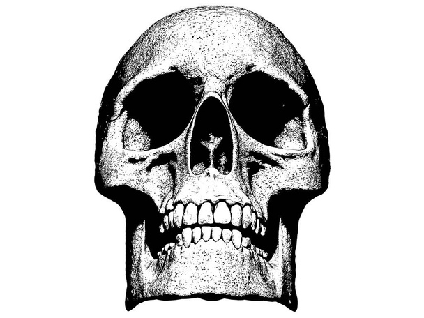 Skull illustration isolated  in background wallpaper - Photo, Image