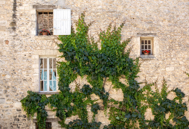 altes Mietshaus mit Efeu in Sault, Departement Vaucluse in der Provence, Frankreich  - Foto, Bild
