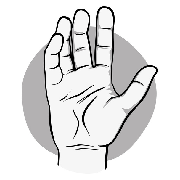 Ábra, minta tenyér, fekete-fehér nyitott emberi kéz képviseli. Intézményi anyagok katalógusokban ideális - Vektor, kép