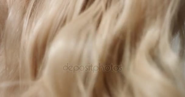 Κοντινό πλάνο video ή γυναικεία ξανθά μαλλιά - Πλάνα, βίντεο