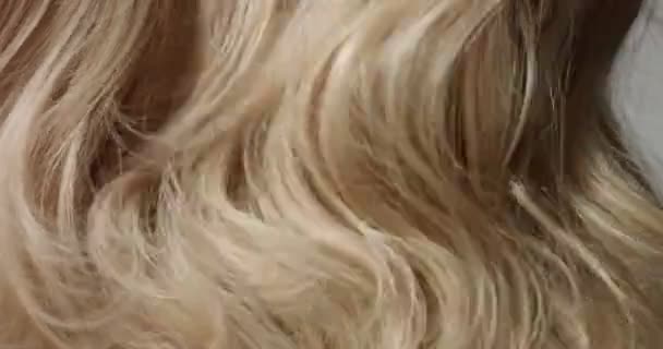 Třepání vlnité dlouhé blond vlasy - Záběry, video