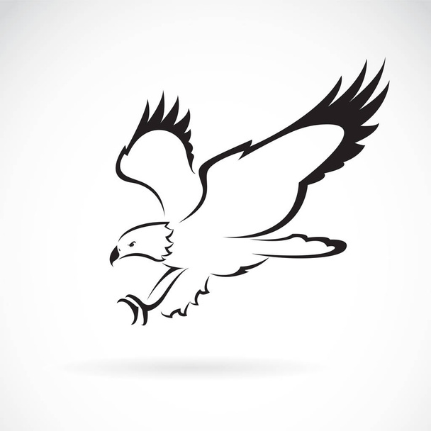 Vecteur de conception aigle sur fond blanc, Animaux sauvages. - Vecteur, image