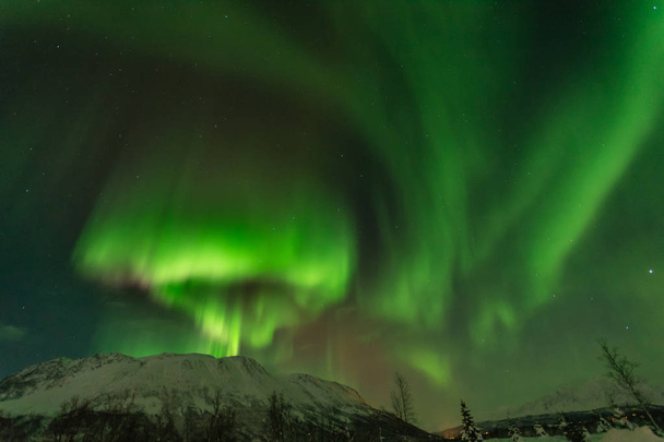 Northern lights dancing in the sky over Tromso,Norway - Photo, Image