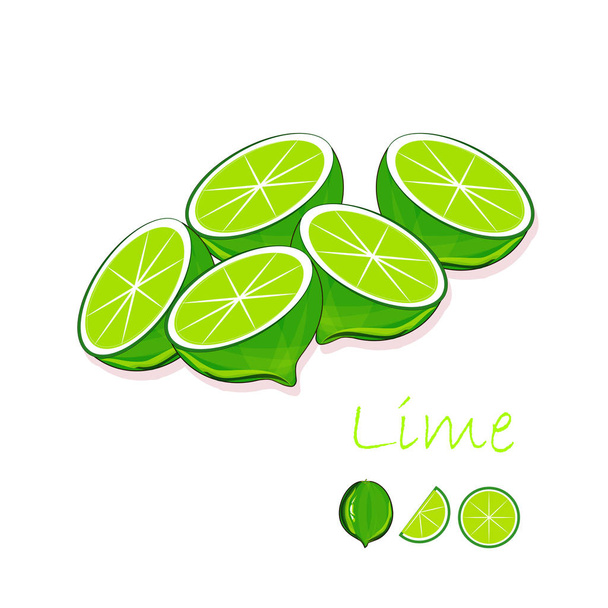 Green lime, slices on white background, hand drawing painting. Healthy eating, fruit, organic, for packaging design, for product packaging, for product label, for menu, design elements, clipart, stock vector illustration - Vector, Image