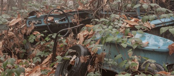 Vieille voiture bleue cassée au fond de la forêt
 - Photo, image