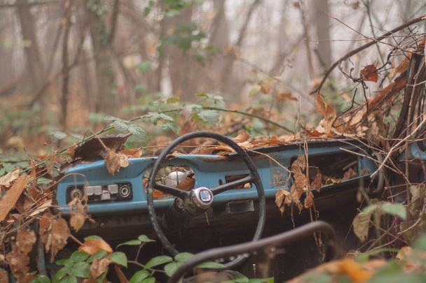 Old broken blue car deep in the forest - Photo, Image