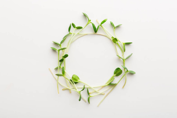 Arugula micro greens isolated at white background - Foto, imagen