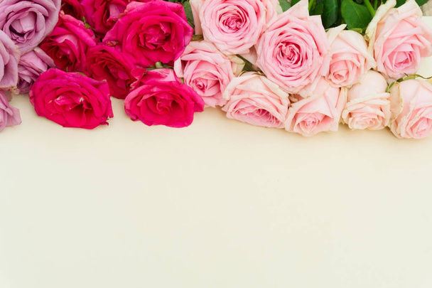 Violet and pink blooming roses - Фото, зображення