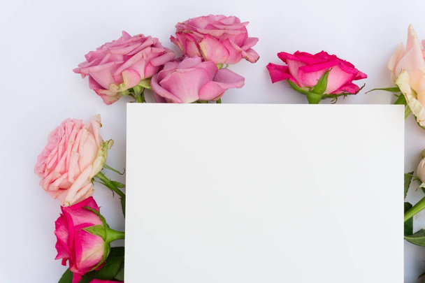Fialové a růžové kvetoucí růže - Fotografie, Obrázek