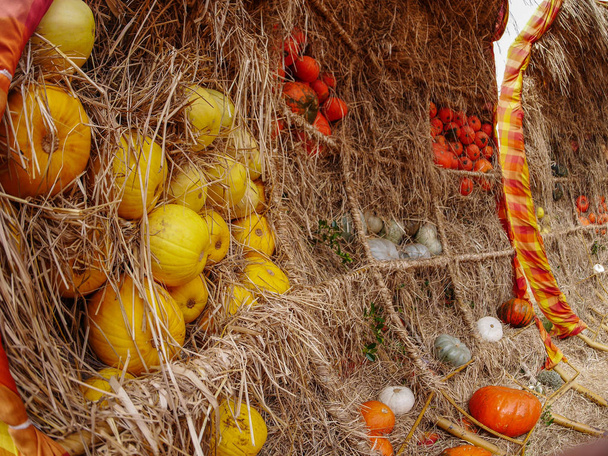 çeşitli renk (sarı, turuncu, beyaz ve gri) kabak saman duvar - Fotoğraf, Görsel