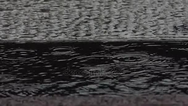 ein Wasserbecken auf einem Asphaltpflaster bei regnerischem Wetter in einer Stadt - Filmmaterial, Video