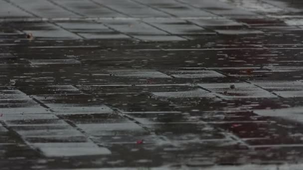 ein mit quadratischen Fliesen bedecktes Pflaster bei Regenwetter - Filmmaterial, Video