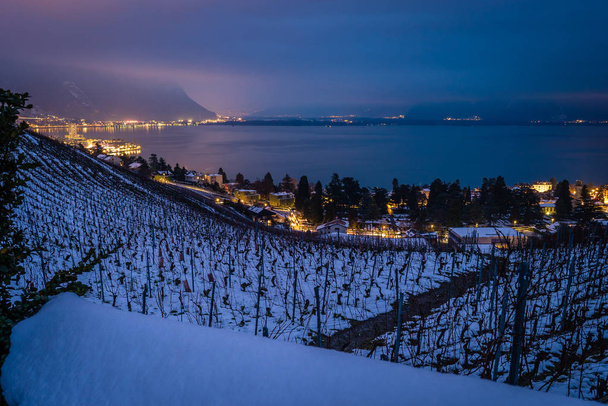 Монтро вночі з видом на Женевське озеро - Фото, зображення