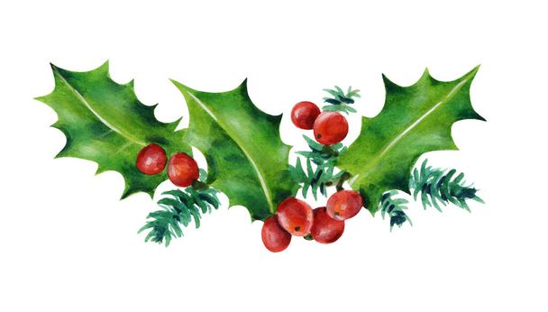  Boże Narodzenie oddziału. Holly odchodzi i czerwone jagody. Akwarela ilustracja na białym tle. Ręcznie malowane.  - Zdjęcie, obraz