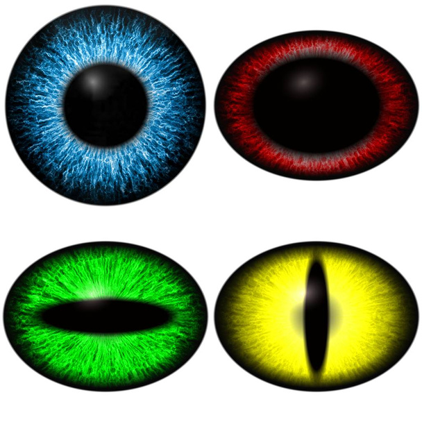 Quattro occhi a colori impostati con diverse dimensioni della pupilla. Occhio isolato su sfondo bianco
 - Foto, immagini