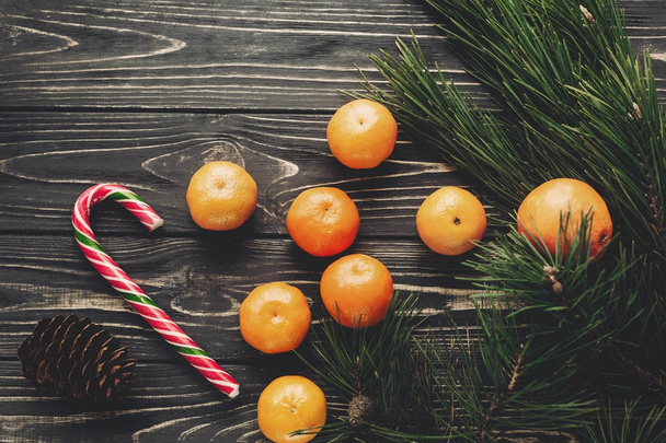 tangerines with anise stars and pine cones - Photo, Image