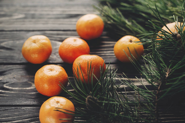 tangerines with anise stars and pine cones - Foto, Imagem