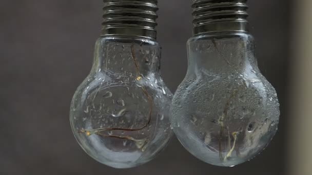 Due lampadine sono all'aperto su una strada in un tempo piovoso
 - Filmati, video