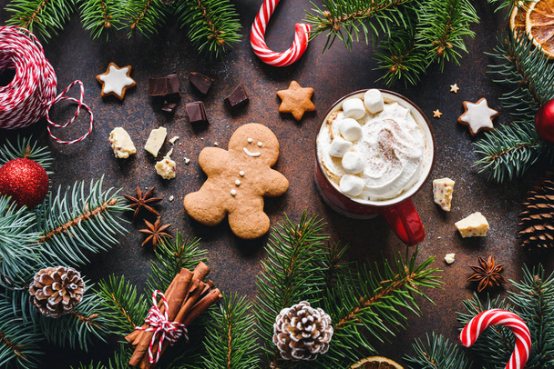 Hot chocolate with marshmallows, gingerbread cookies, spices and candy cane - Foto, Imagem