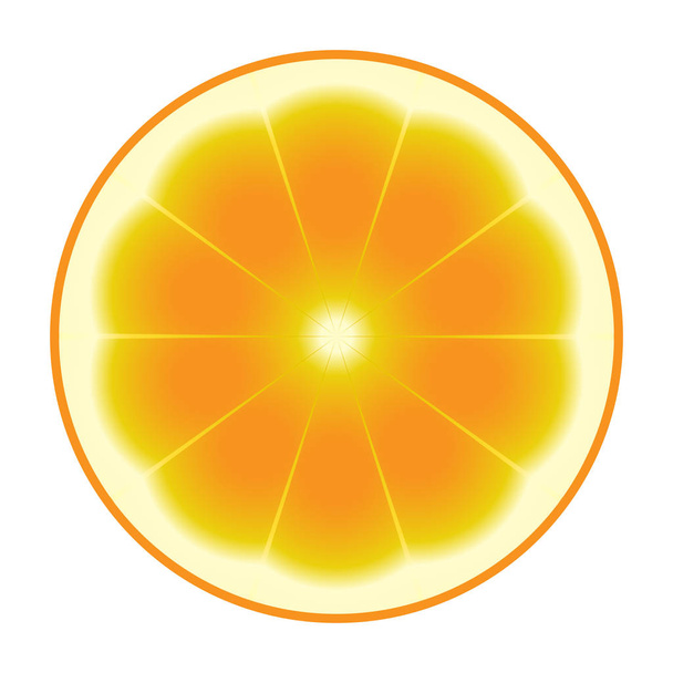Naranja - Vector, imagen