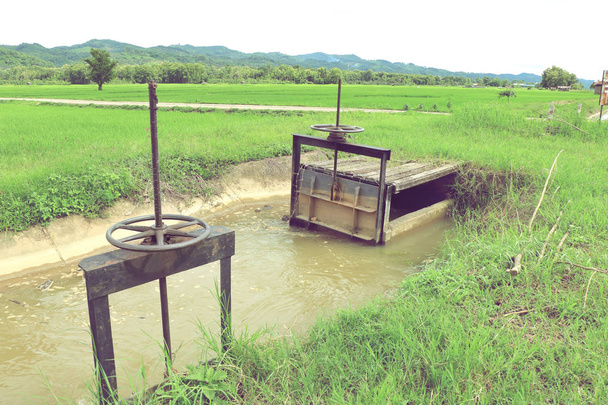 small floodgate of irrigation canal for rice field in Thailand. - Photo, Image