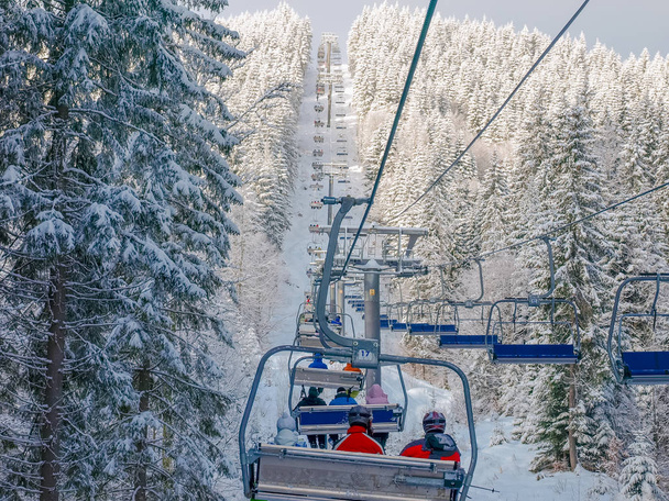 Chairlift in a spruce forest on ski resort in Carpathians - Photo, Image