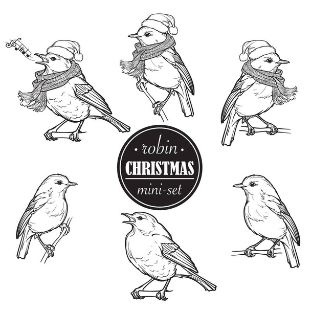 Navidad Robin. Conjunto de 6 dibujos dibujados a mano de Robin en diferentes ángulos con o sin sombrero y bufanda
 - Vector, imagen