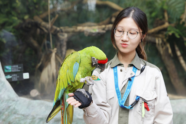  Papagei hält beim Training Hand an - Foto, Bild