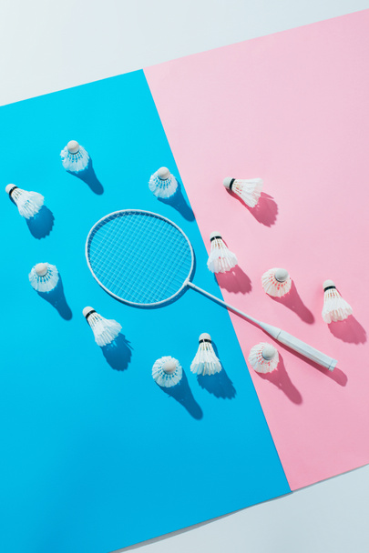 top view of shuttlecocks around badminton racket on blue and pink papers - Foto, immagini