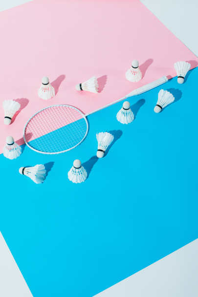 shuttlecocks around badminton racket on blue and pink papers - 写真・画像