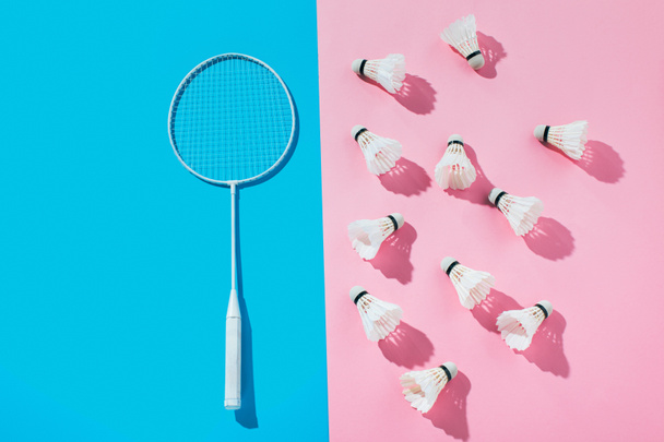 vue de dessus de raquette de badminton sur bleu et navettes sur rose
  - Photo, image