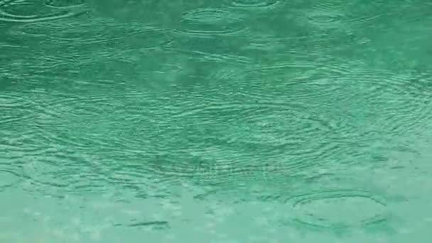 Yağmur damla suyu yere - Video, Çekim