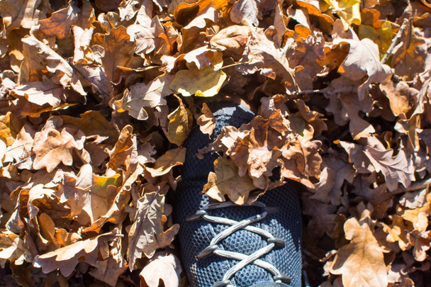 Boots yürüyüş ayakları üzerinde yürüyen ormanda bırakır - Fotoğraf, Görsel
