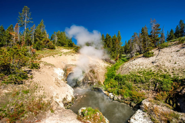 Horké termální pramen v Yellowstone  - Fotografie, Obrázek