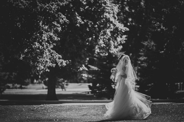 Black and white phoro beautiful brunette bride on a walk in park - Photo, Image