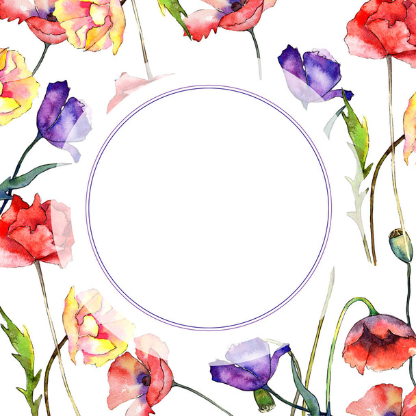 Wildflower poppy flower frame in a watercolor style. - Фото, зображення
