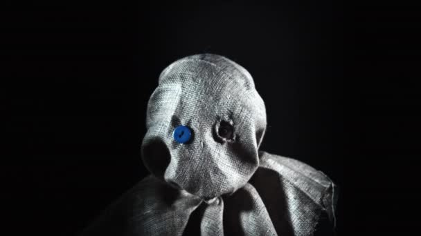 Vogelscheuche mit Sacktuch-Maske - Filmmaterial, Video