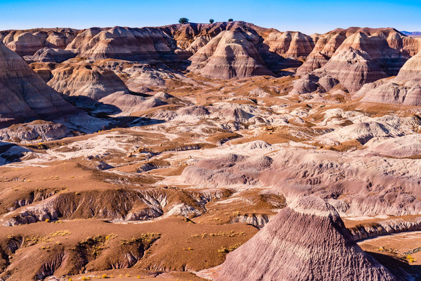 Petrified Forest National Park - Foto, afbeelding