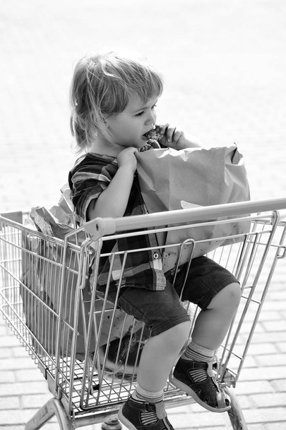 Cute boy in shopping trolley - Zdjęcie, obraz