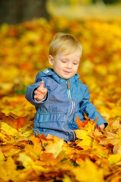 happy kid playing sitting in beautiful fallen leave - Zdjęcie, obraz