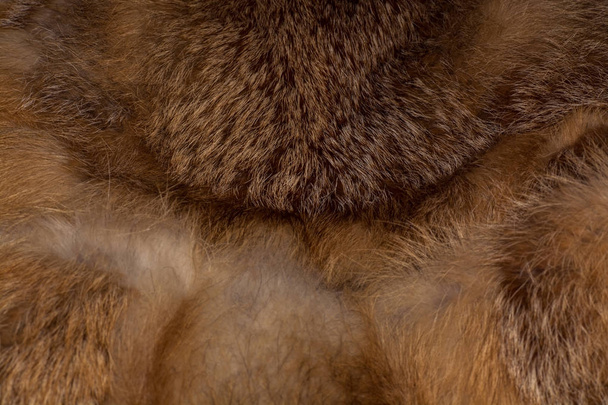 Classy and luxurious red fox fur - Photo, Image