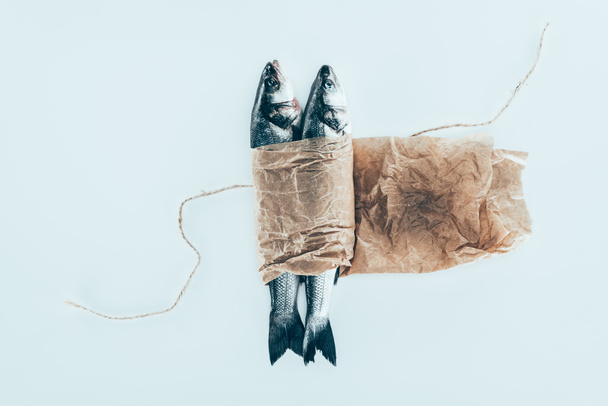 vista de cerca de deliciosos pescados sanos en papel con cuerda aislada en gris
 - Foto, imagen