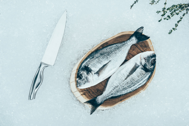 top view of fresh raw dorado fish on wooden board and knife on ice - Zdjęcie, obraz