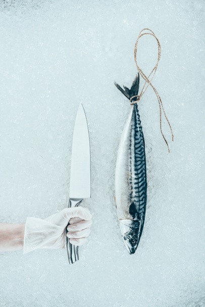 bovenaanzicht van rauwe makreel vissen met touw en mensenrechten hand in de handschoen bedrijf mes - Foto, afbeelding