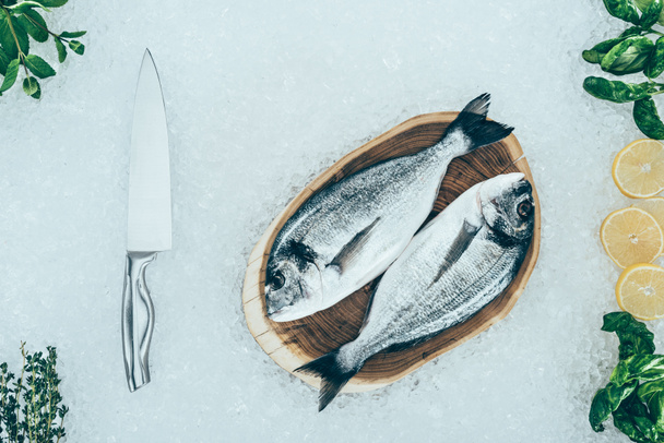 top view of raw dorado fish and knife with ingredients on ice - Φωτογραφία, εικόνα