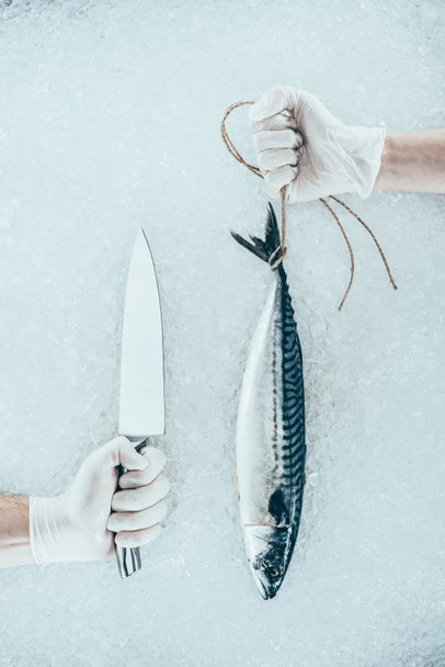 cropped shot of hands in gloves with knife and raw mackerel with rope - Foto, Imagem