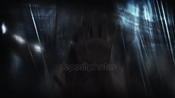 Lény kezébe a függöny - Felvétel, videó