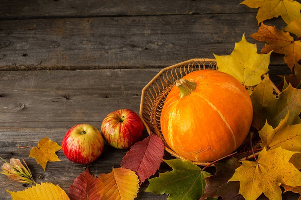 かぼちゃと素朴なテーブルに新鮮なリンゴ - 写真・画像